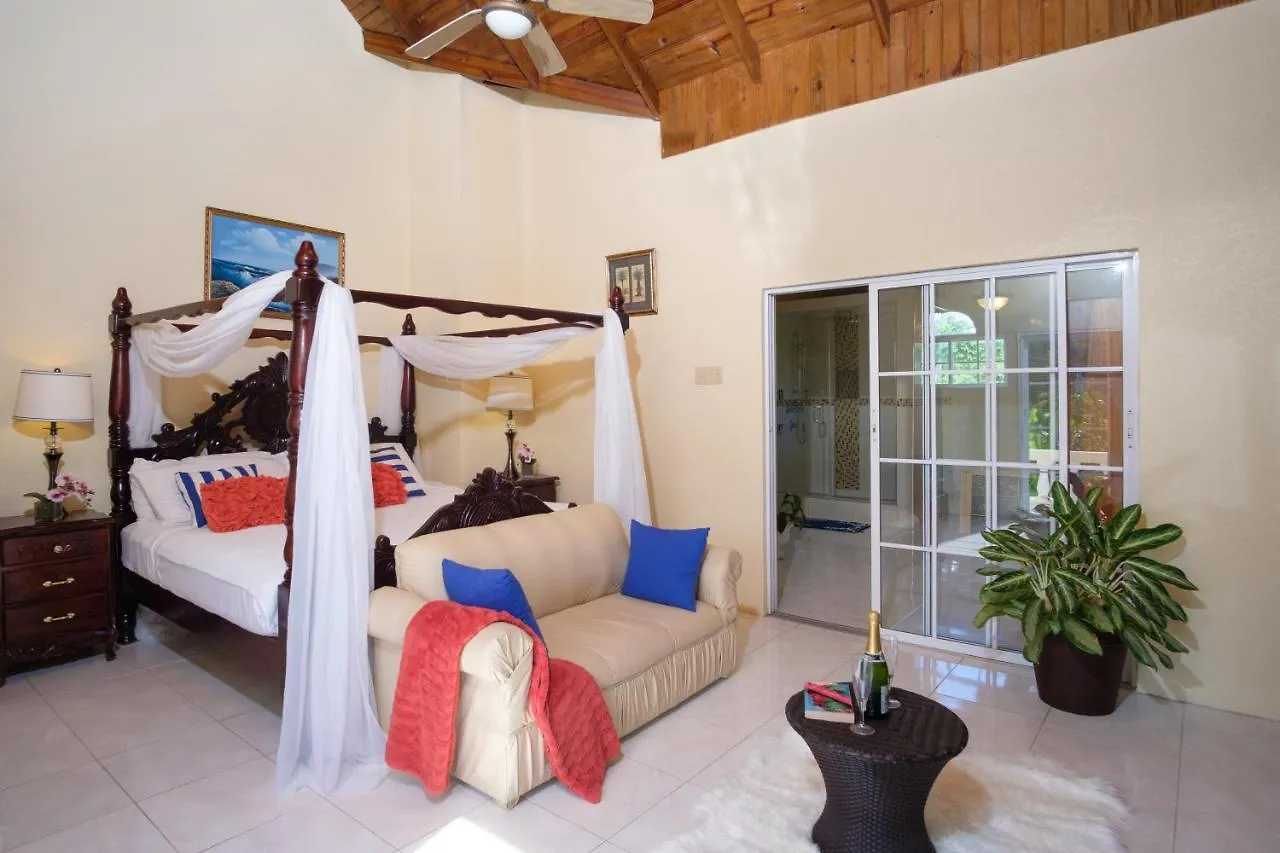 Jamaica Ocean View Villa Ocho Rios Ямайка
